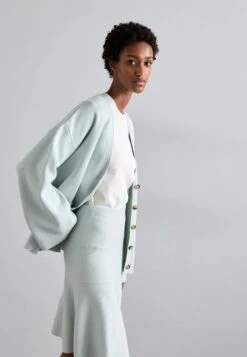 Tiger Of Sweden EDWIGE - A-line Skirt - Faded Green -Tiger of Sweden Store 3b2359b78cec44e6a18cdbc687864367